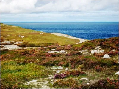 Si vous visitez la "Schwarzwald", dans quelle région touristique allemande vous trouvez-vous ?