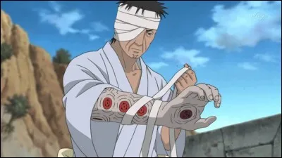 Qui a accompagné Danzo pour le conseil des cinq Kage ?