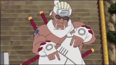 Qui est le frère de Killer Bee ?