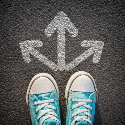 Quelle direction va prendre le muscle en partant de son origine pour atteindre sa terminaison ?