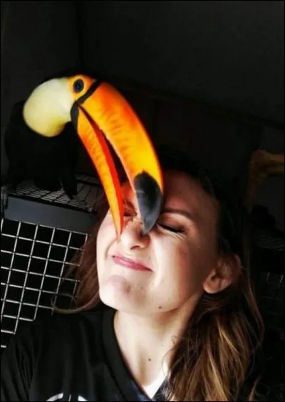 Clocher utilisé jadis pour surveiller les alentours et donner l'alarme en cas d'attaque !