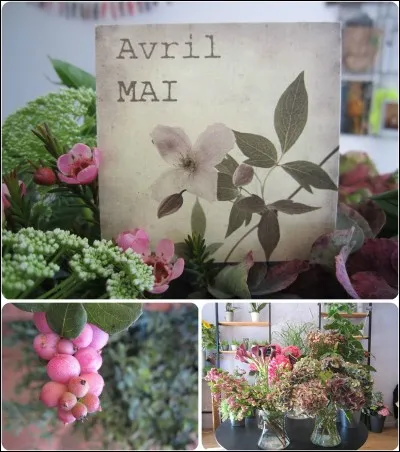 Quel est le mois qui succède à Avril ?