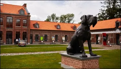 Comment s'appelle le centre d'entraînement du LOSC ?
