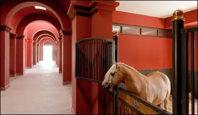 Si tu devais emmener quelqu'un avec toi dans un lieu sublime, qui serait cette personne ?