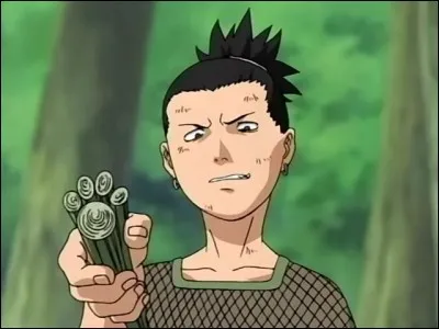 Comment s'appelle le doubleur français de Shikamaru ?