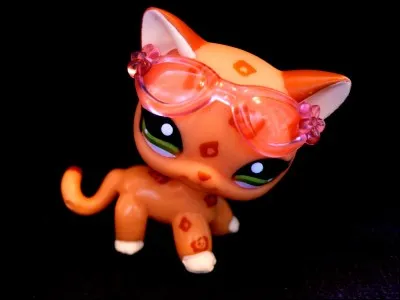 Ce LPS est-il dans les kimchi ?