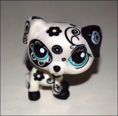 Quelle est la race de ce LPS ?