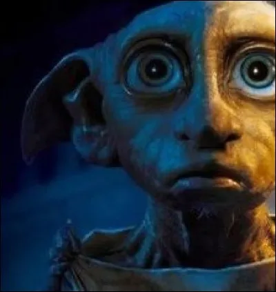 Quels sont les mots qu'a écrit Harry sur la tombe de Dobby dans le 7 ?