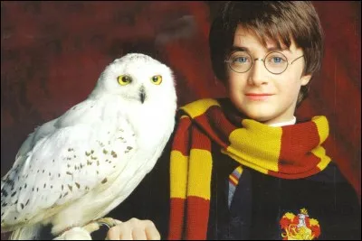 Quelle est la race d'Hedwige, la chouette de Harry Potter ?