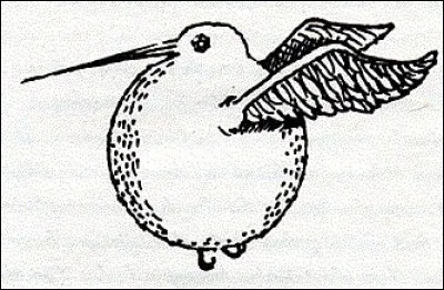 Quelle est l'origine du Vif d'Or ?