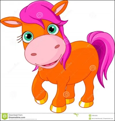 Que font-ils la journée ?