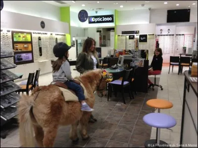 Comment travaillent-ils ?