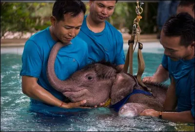 La photo vous donne la réponse, qui est mon père ?