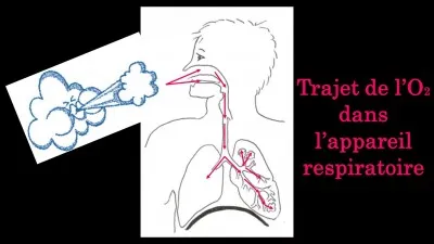 Le bon trajet de l'air est :