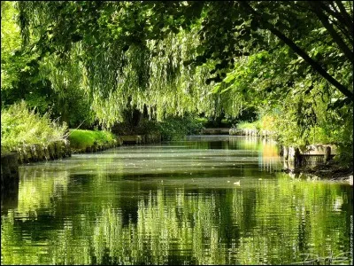 Comment s'appelle la petite balade que l'on peut faire dans une barque, canoë ... ?