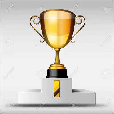 Le vainqueur de ce premier tour est arrivé avec quel pourcentage des suffrages ?