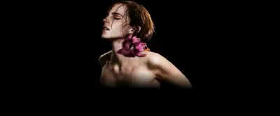 /Tome 7/
Fleur, encore elle, se transforme en Harry pour l'opération "7 Potter". Si dans le film on voit un Harry affublé d'un soutien-gorge en dentelle, comment, dans le livre, fait-elle remarquer à Bill qu'elle est horrible ?