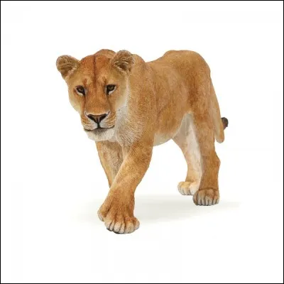 Quel est cet animal ?