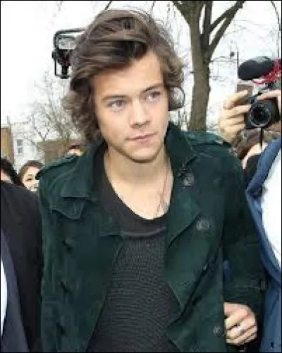 Qu'essaie de faire Harry ?