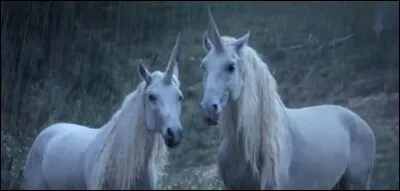 Quel est l'autre nom de la licorne ?