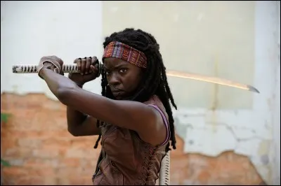 Comment s'appelait le fils de Michonne ?