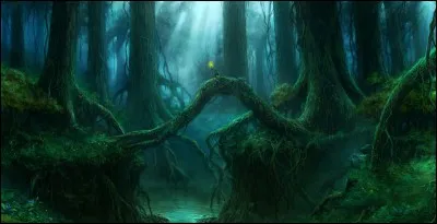 Que trouve le père dans la grande forêt ?