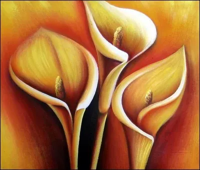 Il ne manque pas d'énergie, ce petit.