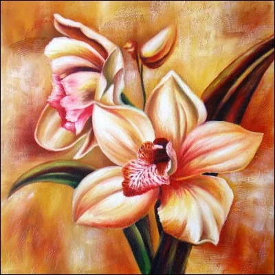 Petit serpent d'eau.