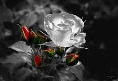 Laquelle de ces deux villes, situées dans le Bade-Wurtenberg et sur le Neckar, est réputée pour avoir une université célèbre ?