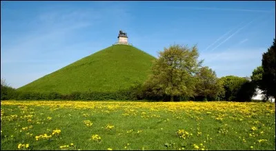 Qui a écrit "Waterloo,Waterloo,morne plaine" ?