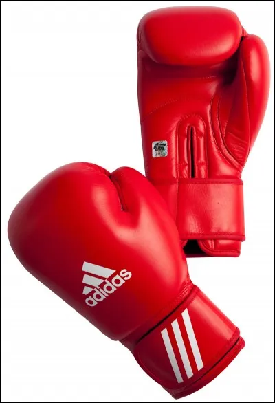 Quel Pokémon porte des gants de boxe ?