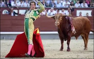 Comment appelle-t-on l'homme qui affronte un taureau dans une corrida ?