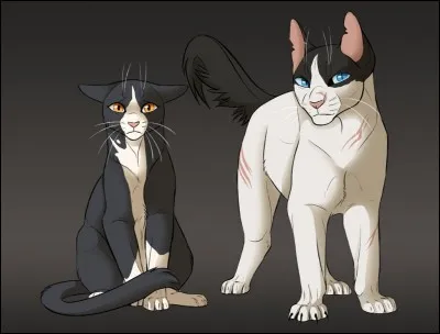 Qui ont été ses apprentis ?