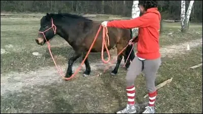 C'est un concours d'agility mais à la place du chien vous présentez votre cheval, c'est fou...