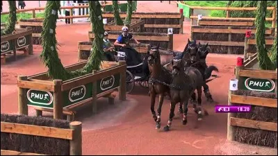 En participant à une compétition d'attelage vous devrez affronter 3 tests :