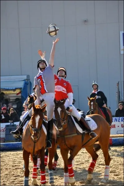 A quoi jouent ces cavaliers?