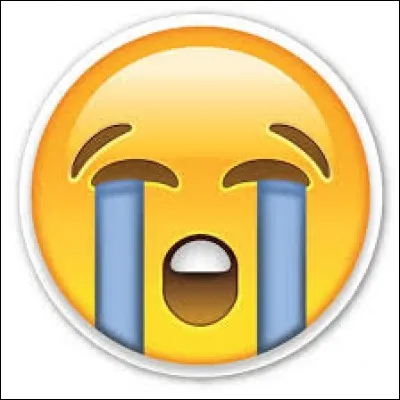 Quand un(e) ami(e) pleure, que fais-tu ?