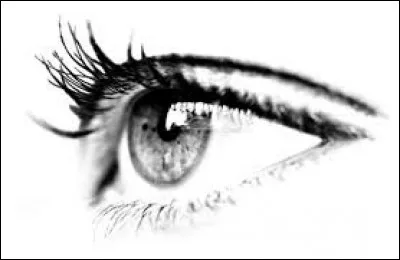 Quelle est la traduction anglaise du mot "il" ?