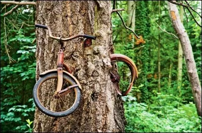 Légère opacité de la cornée !