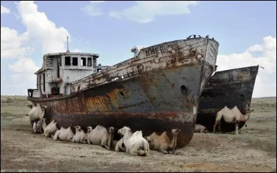 Partie finale de l'ère tertiaire, qui se divise en myocène et pliocène, et qui vit l'apparition des premiers hominidés !