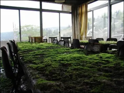 Huile extraite de la fleur d'oranger !