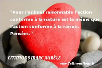 Quelle statue équestre en bronze, s'élève sur le Capitole à Rome ?