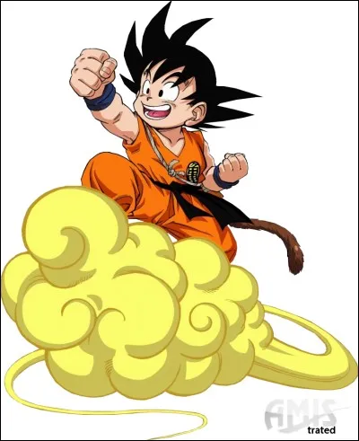 Quel est le nom du nuage de Son Goku ?
