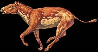 Comment s'appelait l'ancêtre du cheval ?