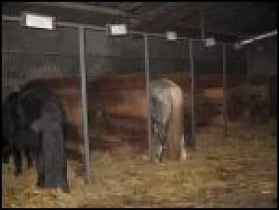 C'est quoi une stalle ?