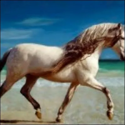 De quelle couleur est la robe ?