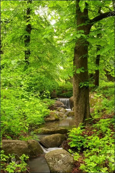 Tu viens d'être nommé lieutenant(e) : comment réagis-tu ?