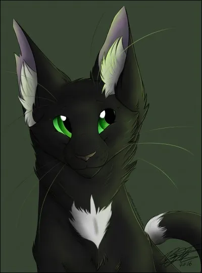 Quel est le nom de guerrier de Nuage d'Aigle ?