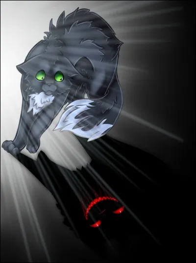 Que se produit-il de grave la nuit ?