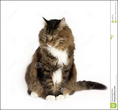 Comment s'appelle la meneuse du clan du Vent ?